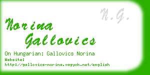 norina gallovics business card